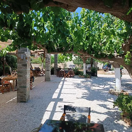 Apartamento Vasilis *